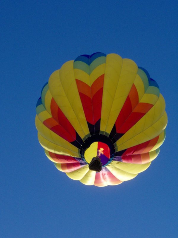 Balloon in Flight