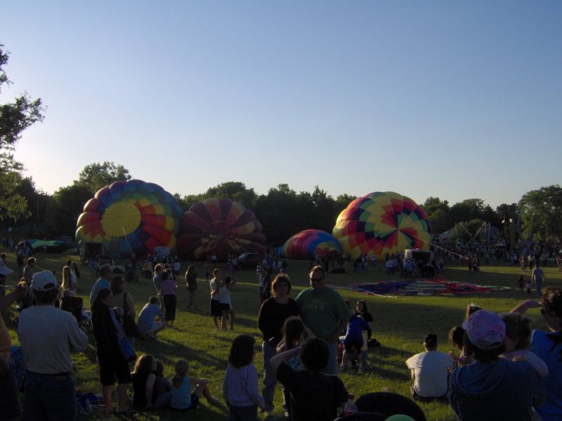 Balloons in Field