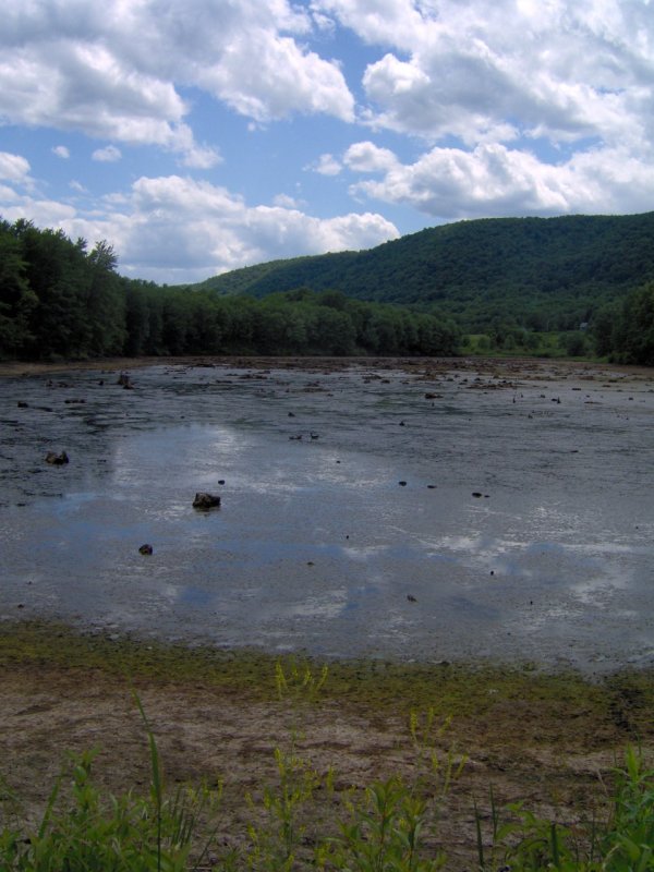 Drained Pond