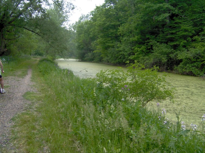 Crooked Lake Canal