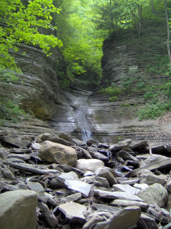 Lower Clark Gully