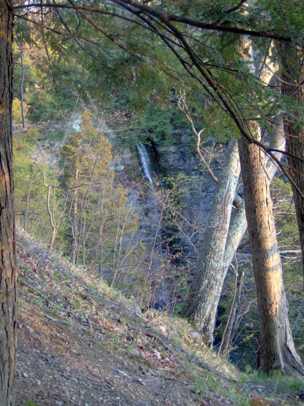 Lick Brook Waterfall