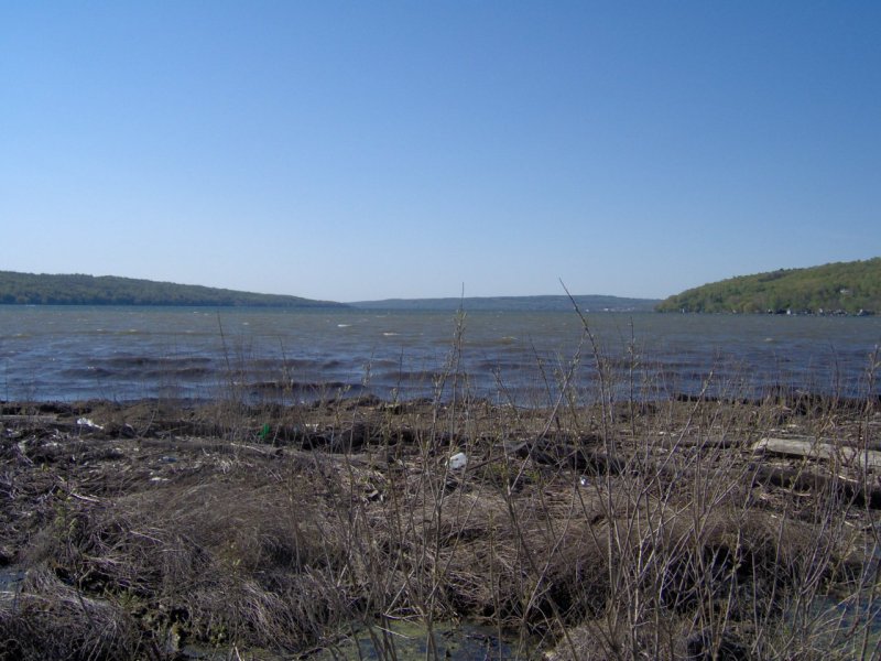 Cayuga Lake