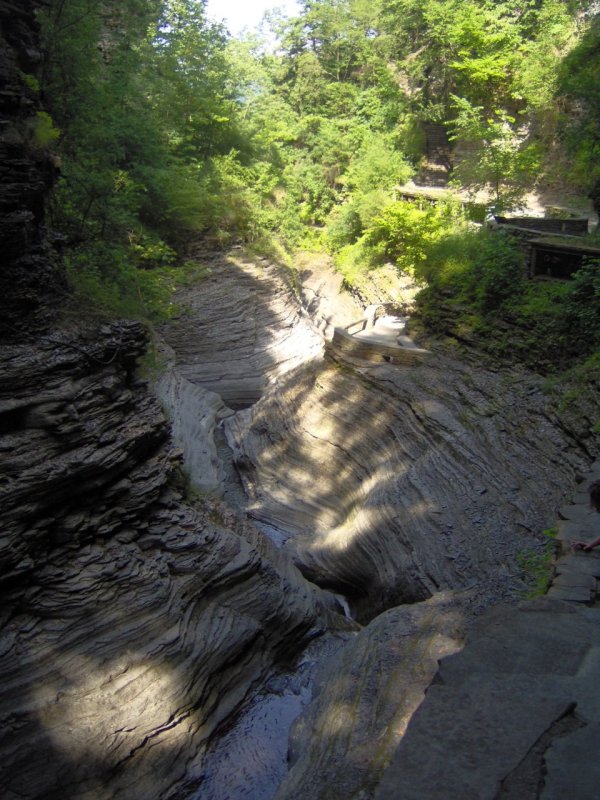 Watkin's Glen