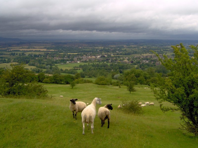 Cotswold View