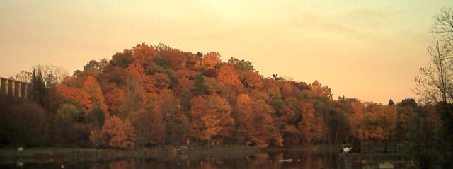 Bebe Lake Fall Colors