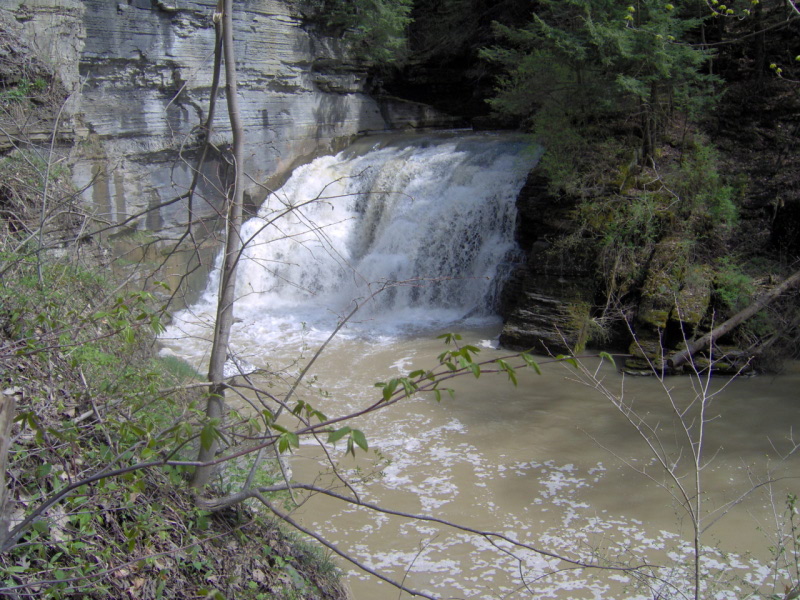 Potter's Falls