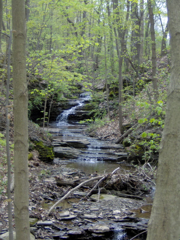 South Hill Rec Way Waterfall