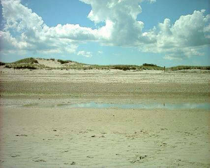 Sand Dunes