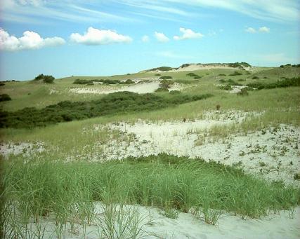 Sand Dunes