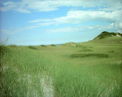 Sand Dunes