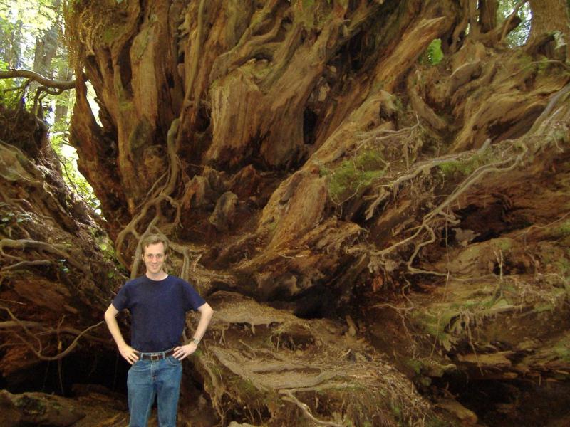 Vince and Tree Roots