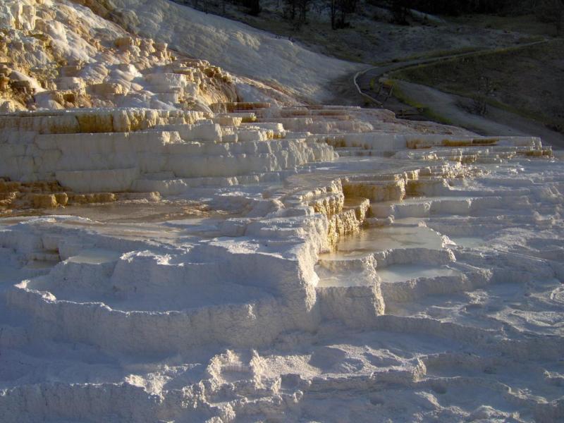 Mammoth Hot Springs