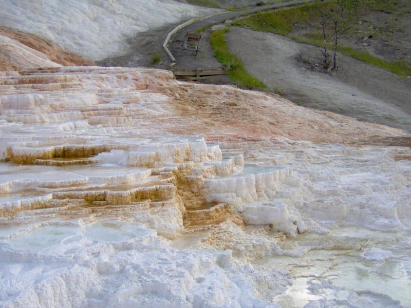 Mammoth Hot Springs