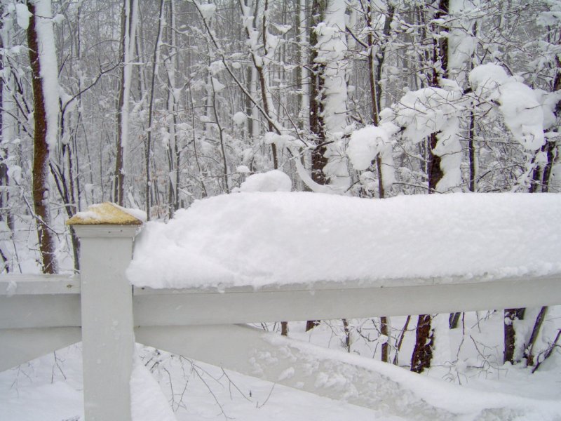 Snowy Fence