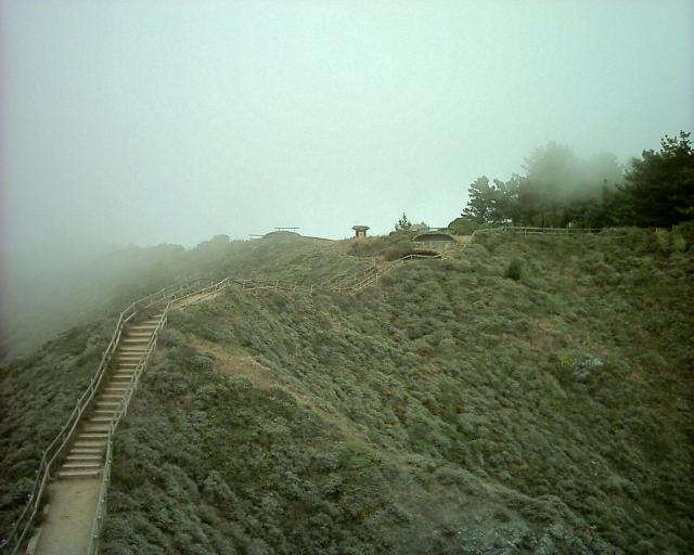 Muir Overlook Artillery