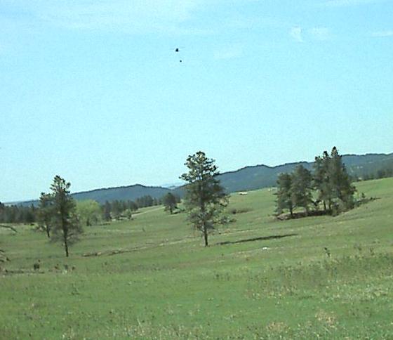 Fire Fighting Helicopter